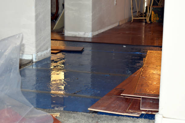 Professional Sewage Cleanup technician working in Elmira, NY